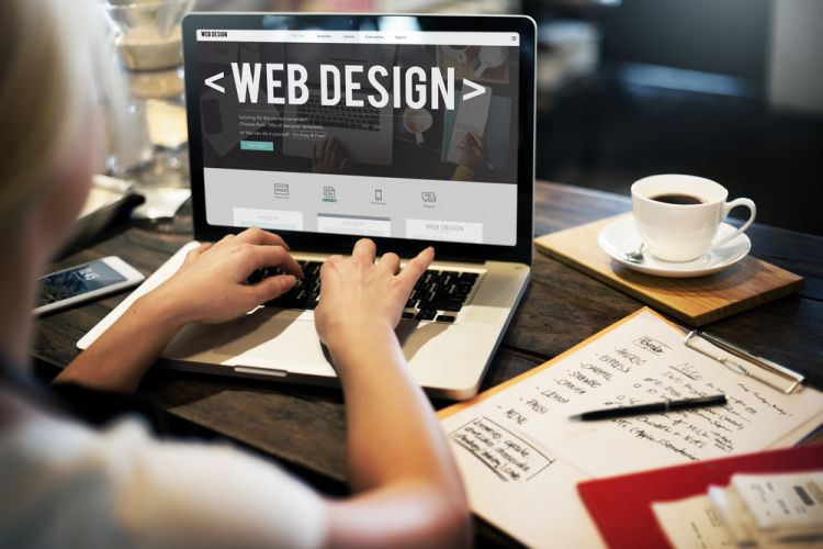 Professional Web Design Florida