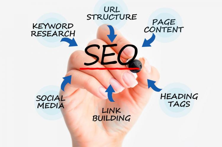 Top SEO Packages