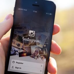 instagram business insights